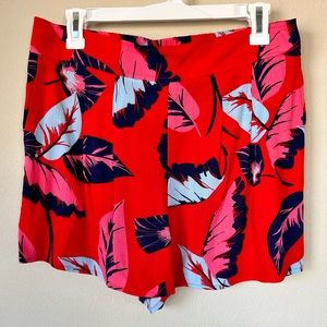 NWT Express High Rise Shorts